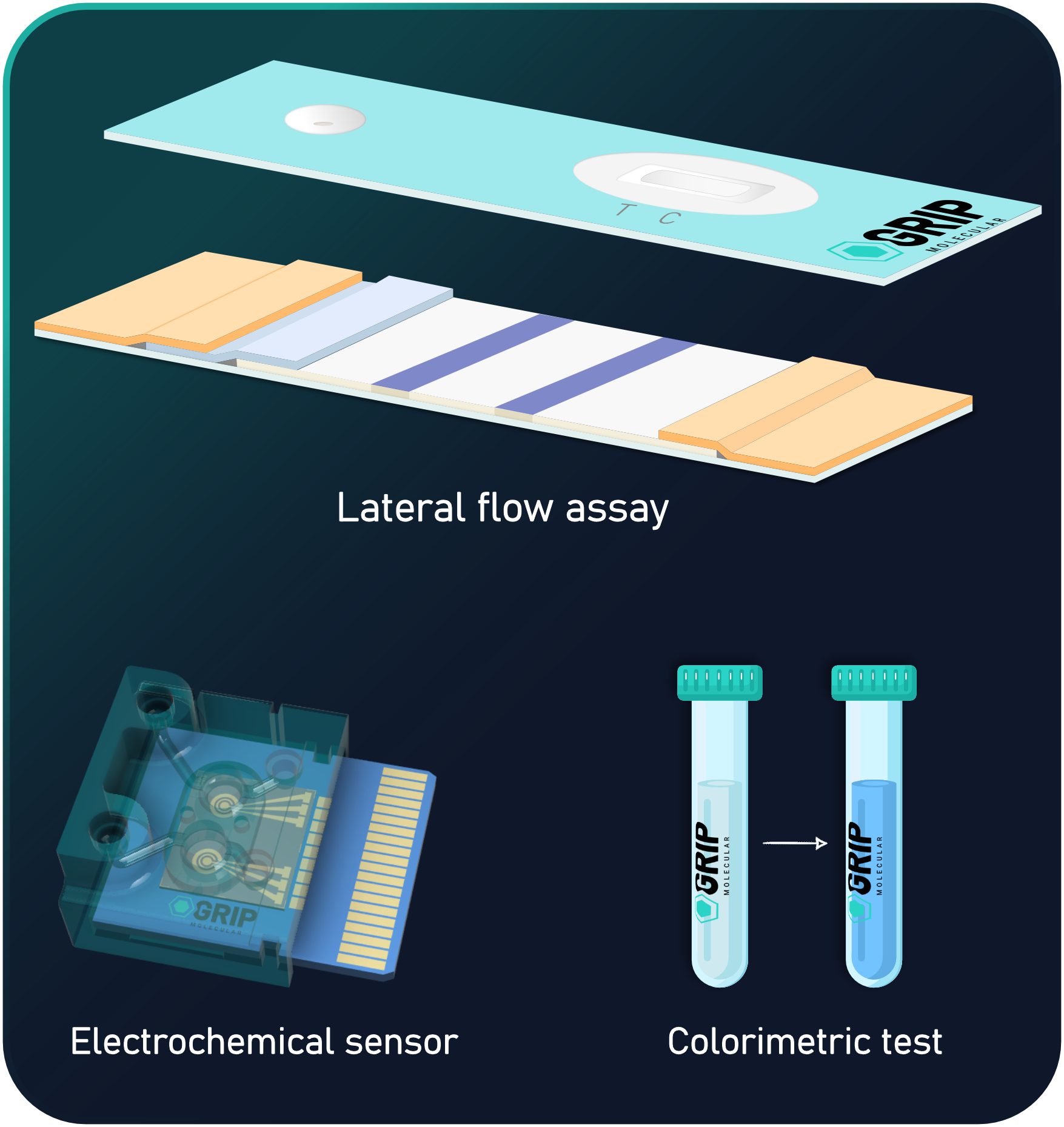 Lateral flow assay strip and other readout methods